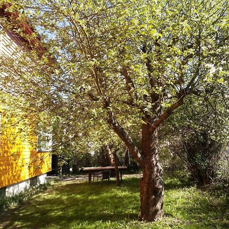Renovated Semi- Basement 2 Bedrooms Furnished Apartment - Close To Everything In מוס מראה חיצוני תמונה