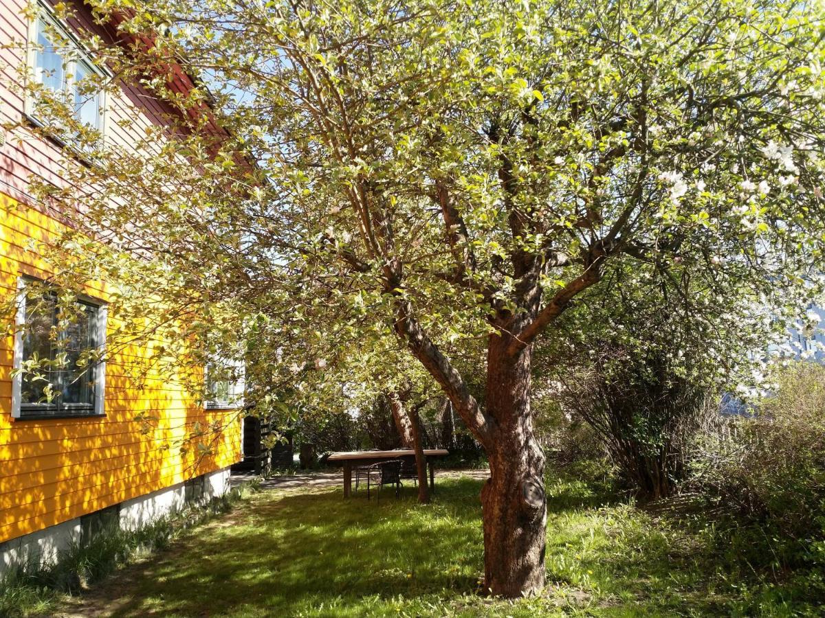 Renovated Semi- Basement 2 Bedrooms Furnished Apartment - Close To Everything In מוס מראה חיצוני תמונה
